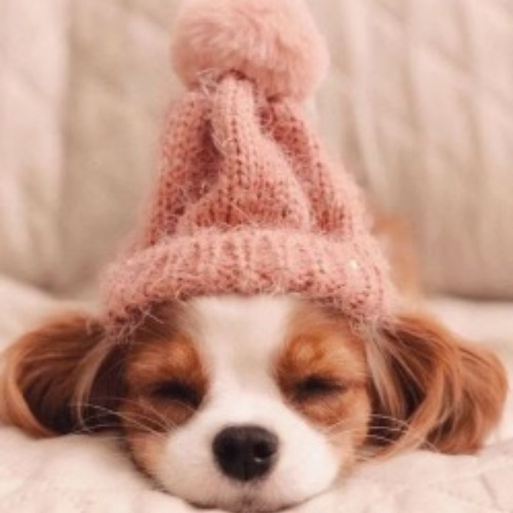 Meet your Posher, Esther